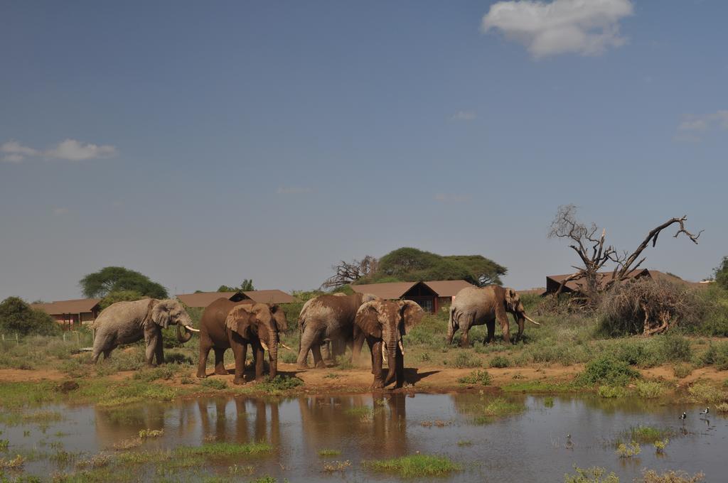 Kilima Safari Camp Hotel Amboseli Exterior photo