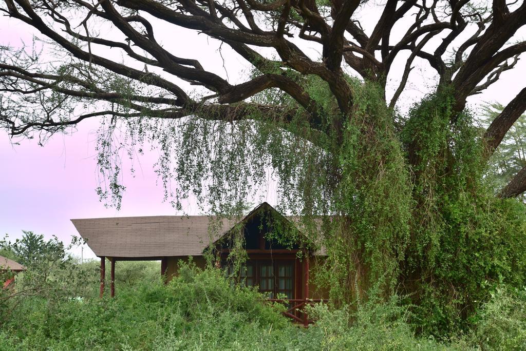 Kilima Safari Camp Hotel Amboseli Exterior photo