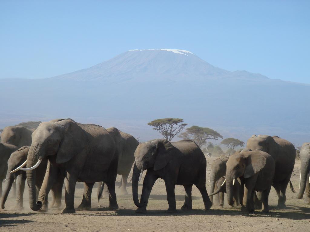 Kilima Safari Camp Hotel Amboseli Exterior photo