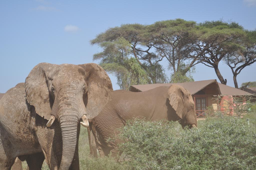 Kilima Safari Camp Hotel Amboseli Exterior photo